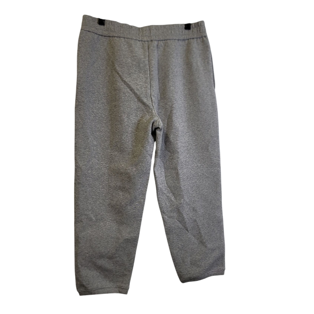 James Perse Y/osemite joggers pants